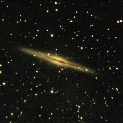 NGC891