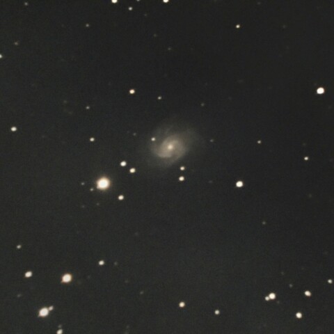 NGC514