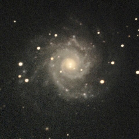 M74