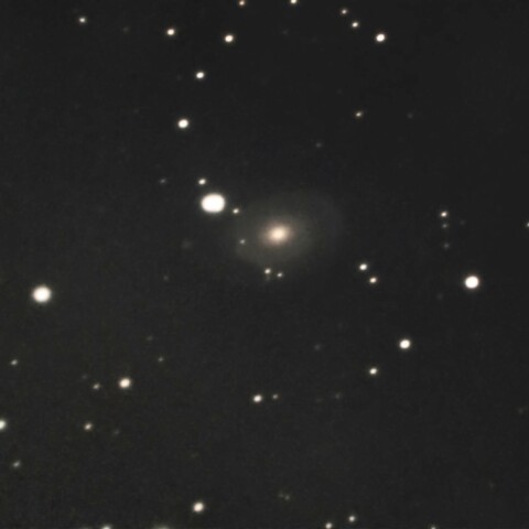 NGC691