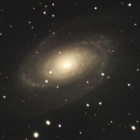 M81