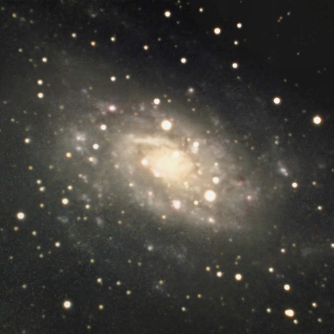 NGC2403