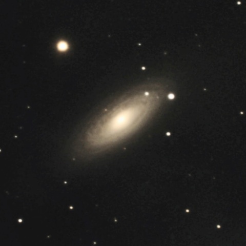 NGC2841