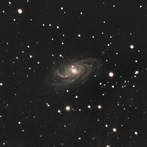 NGC2336