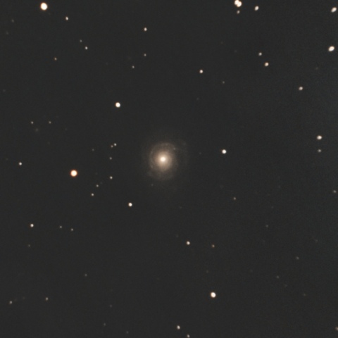 NGC3147
