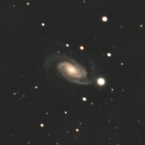 NGC3338