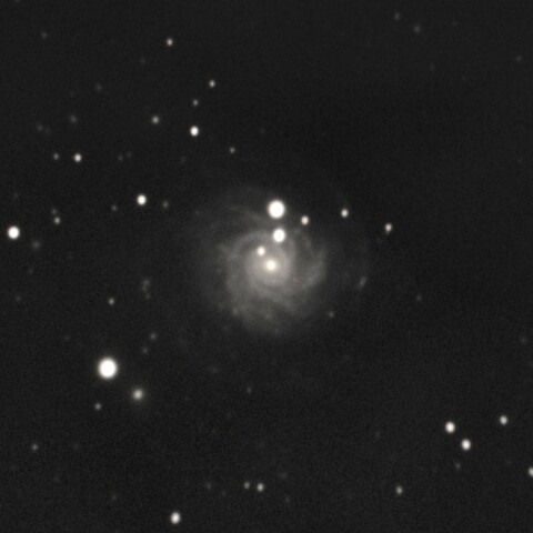 NGC3344