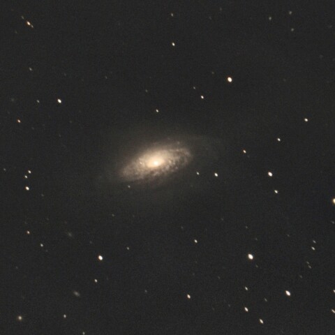 NGC3521
