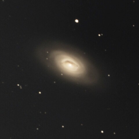M64
