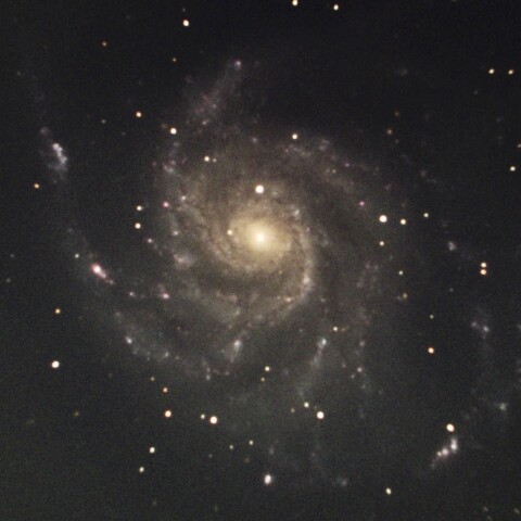 M101