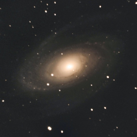M81
