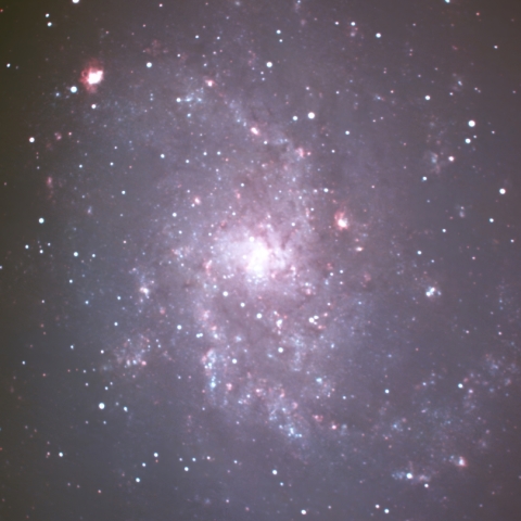 M33
