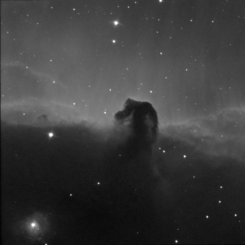  Ｈαによる馬頭星雲