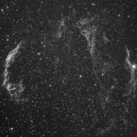 白鳥座　網状星雲