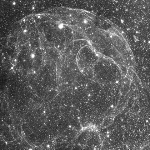 レムナントSh2-240