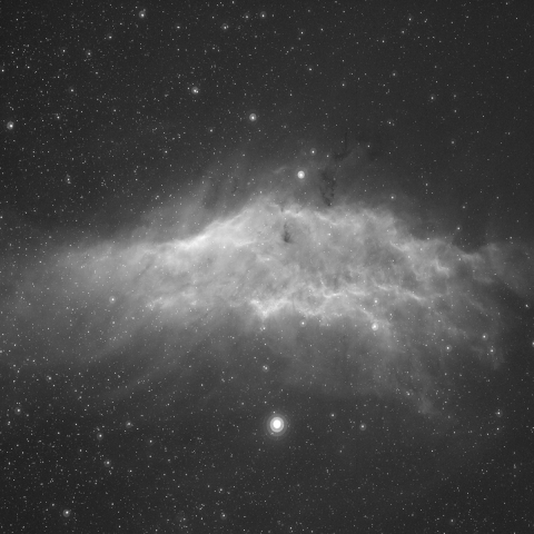 カリフォルニア星雲