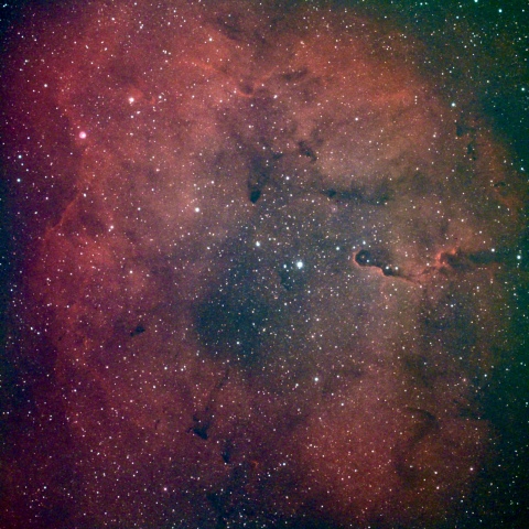 IC1396  散光星雲　ケフェウス座