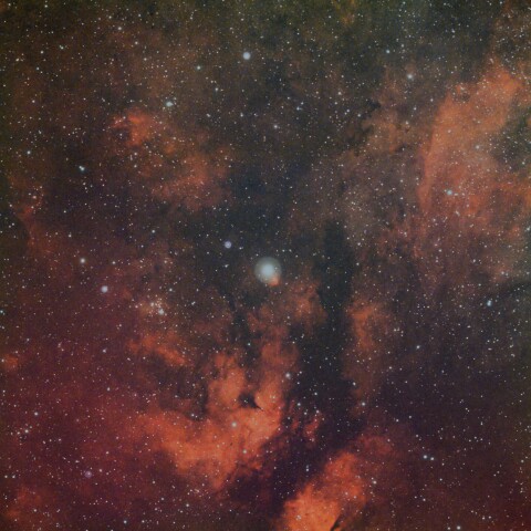 IC1318 サドル付近