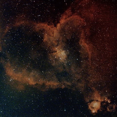 IC1805 ハート星雲　カシオペア座