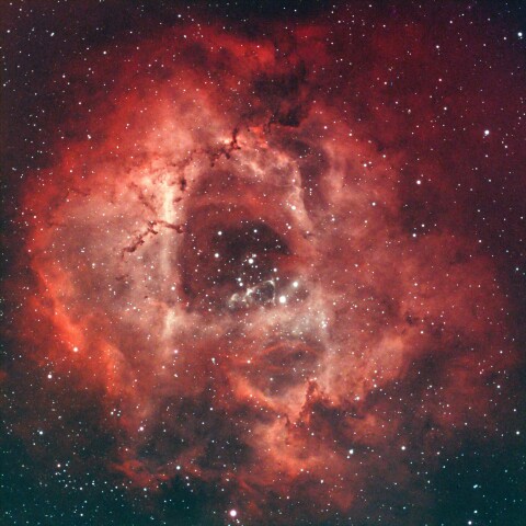 NGC2237 バラ星雲