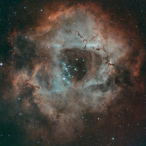 NGC2237 バラ星雲