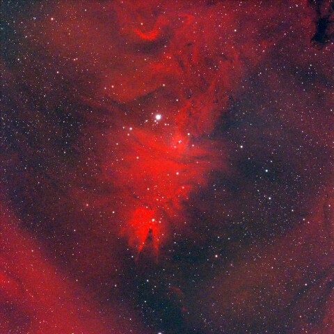 NGC2264 クリスマス星団とコーン星雲