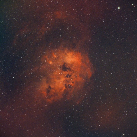 IC410 おたまじゃくし星雲