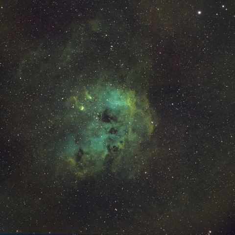 IC410 おたまじゃくし星雲