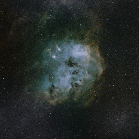 IC410  おたまじゃくし星雲