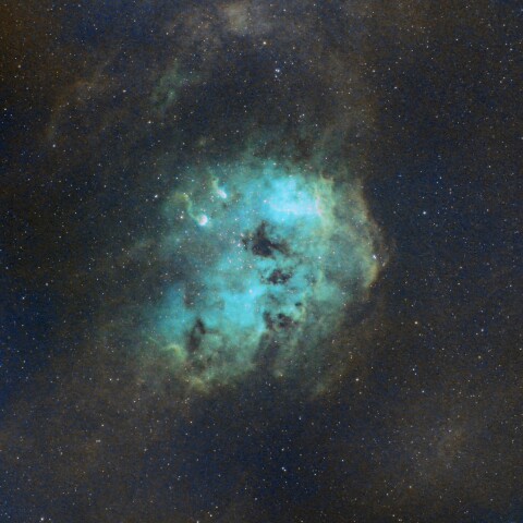 IC410  おたまじゃくし星雲