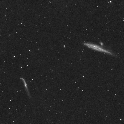 NGC4631クジラ銀河とNGC4656ホッケースティック銀河