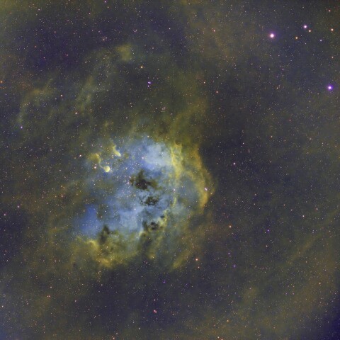 IC410 おたまじゃくし星雲