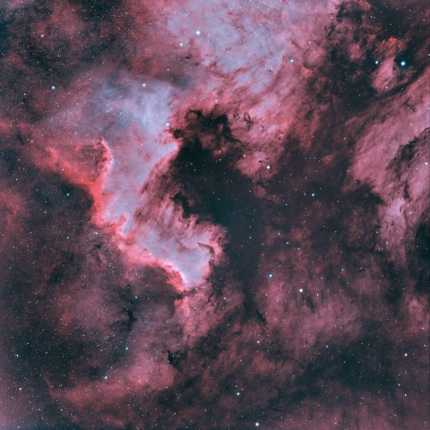 NGC7000 北アメリカ星雲　シグナスウォール