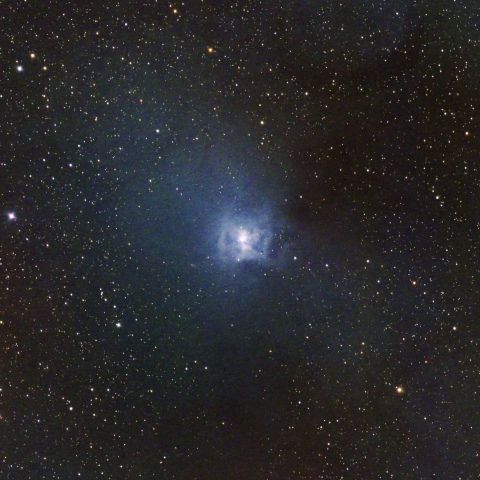 NGC7023 アイリス星雲