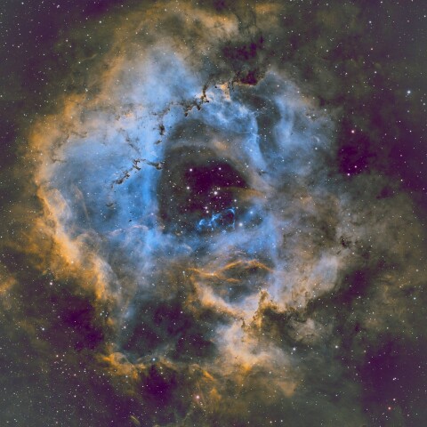 NGC2237 ばら星雲 SHO合成