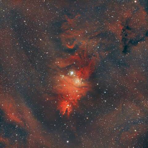 NGC2264 クリスマスツリー星団コーン星雲