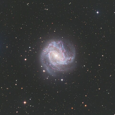 リコリモ M83南の回転花火銀河
