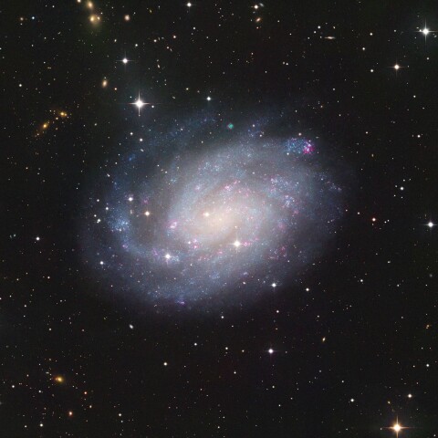 NGC300 渦巻銀河 リコリモ