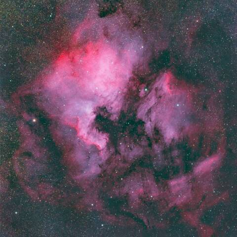 NGC7000 北アメリカ星雲 ペリカン星雲