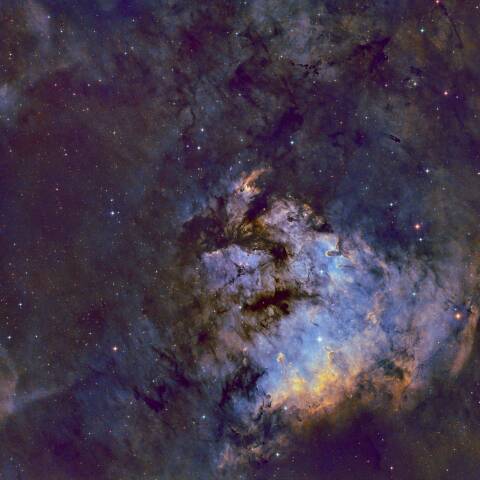NGC7822クウェスチョンマーク星雲中心部 SHO合成