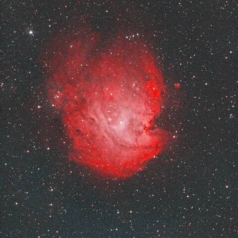 NGC2174 モンキーフェイス星雲