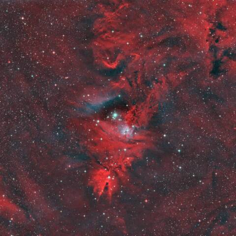 NGC2264 クリスマスツリー星団コーン星雲