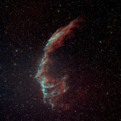 NGC6992-5 網状星雲　はくちょう座