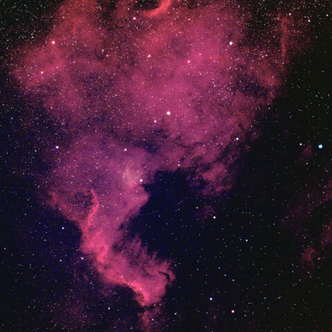 NGC7000 北アメリカ星雲