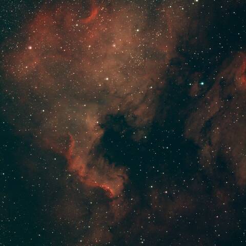 NGC7000 北アメリカ星雲　はくちょう座