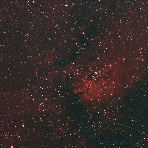 こぎつね座　散開星団NGC6823と散光星雲