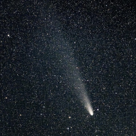 紫金山・アトラス彗星 1103