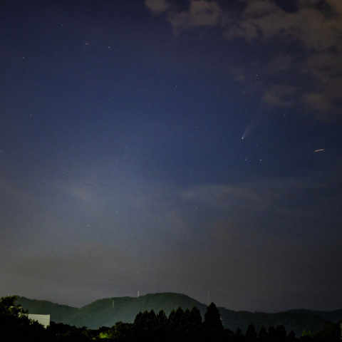 ネオワイズ彗星