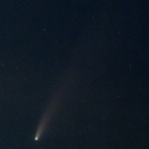 ネオワイズ彗星