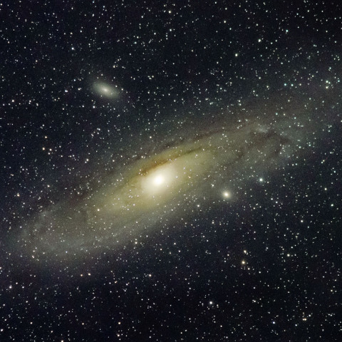 M31